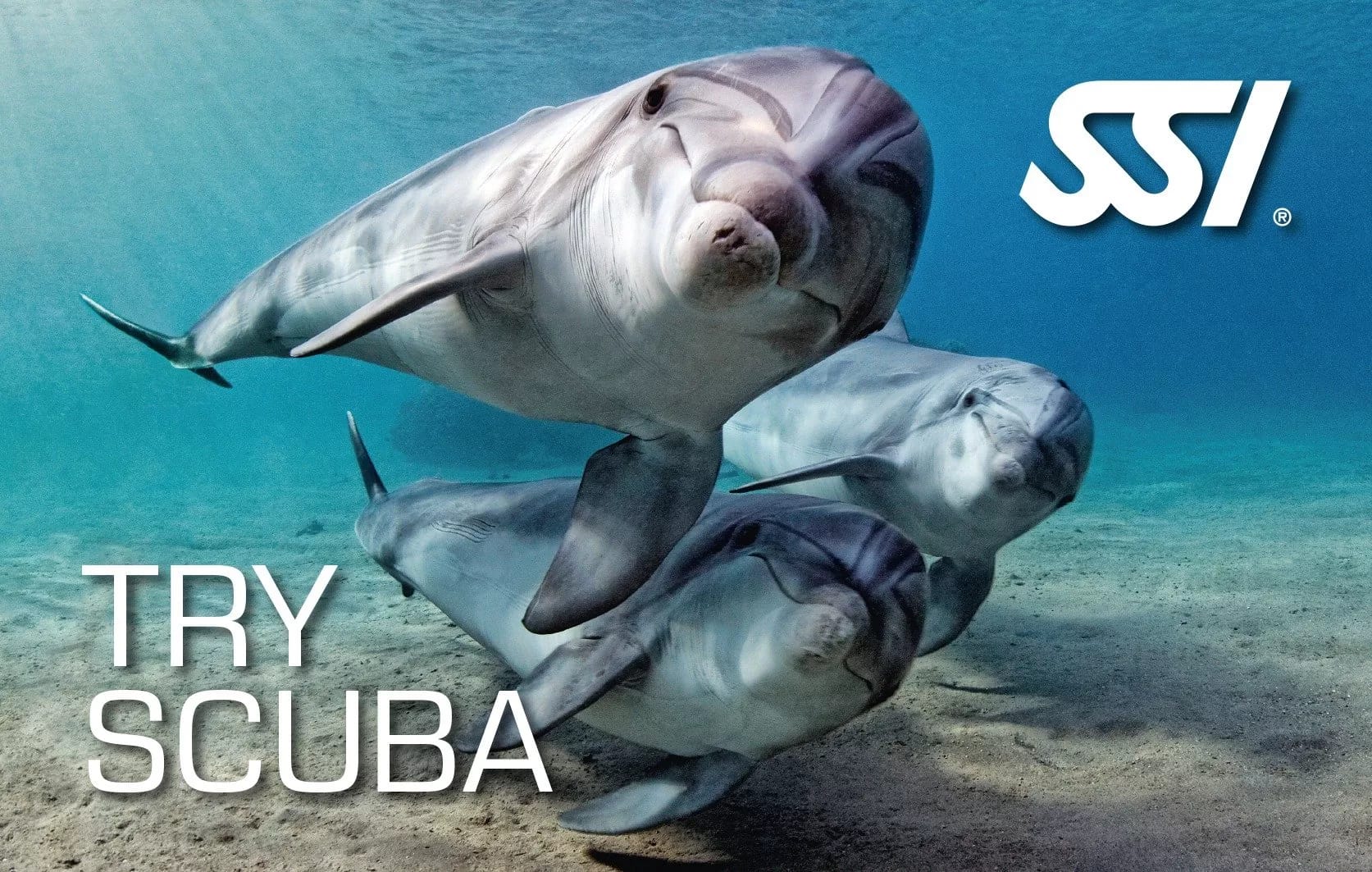 Try scuba diving experience in Okinawa for beginners