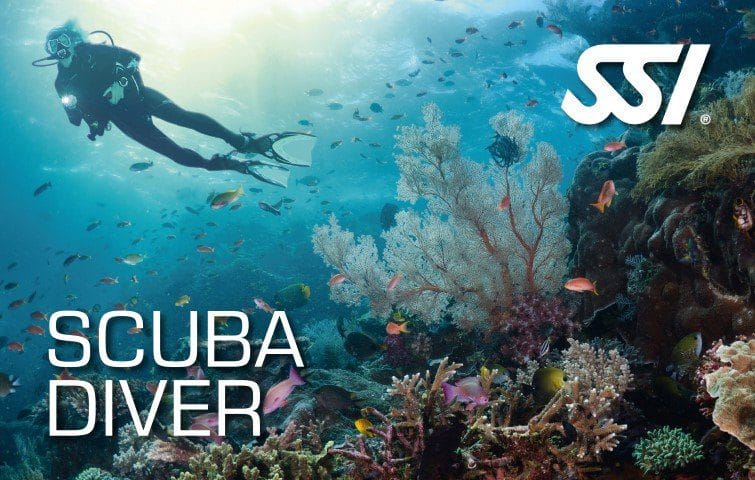 SSI Scuba Diver certification course at Bubble Addict