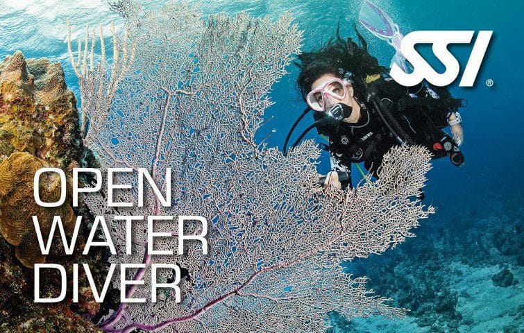 SSI Open Water Diver certification course in Okinawa