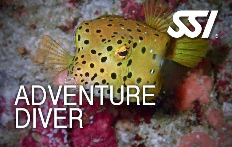 SSI Adventure Diver certification course