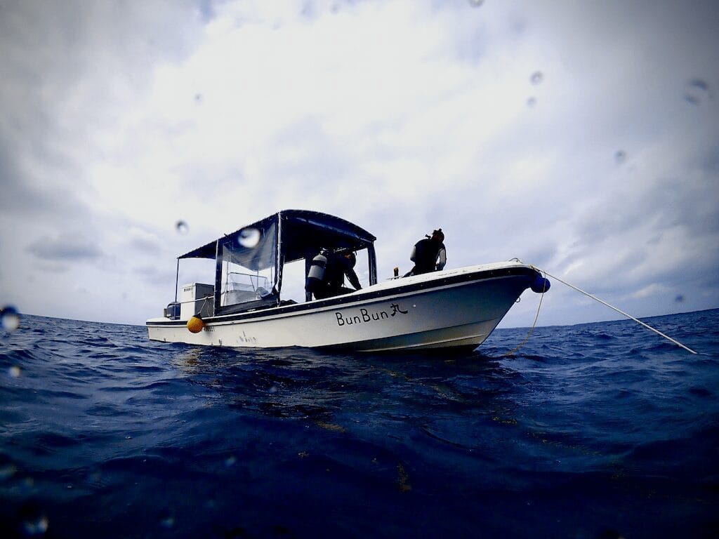 All-included dive day trip in northern Okinawa