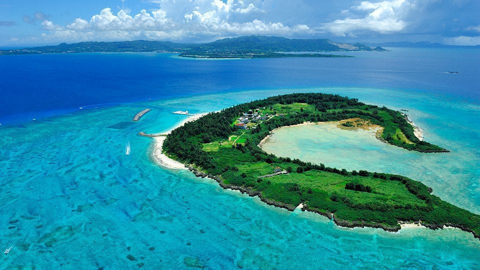 Snorkeling tour over coral reef in northern Okinawa