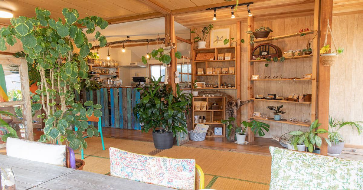 Inside SOMA Café, the plant-filled wooden café at North Okinawa Dive Center in Nakijin
