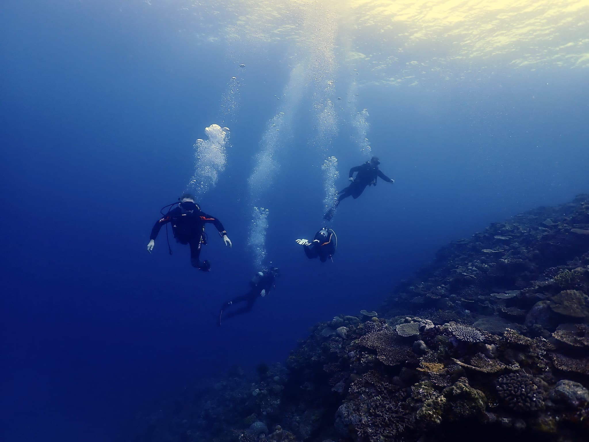 A small group of divers descending along a coral reef wall in northern Okinawa